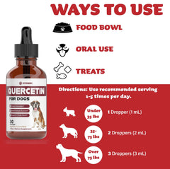 iVitamins Quercetin for Dogs non-GMO and sugar-free option for pet health