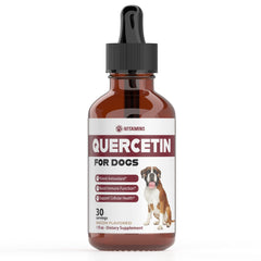 iVitamins Quercetin for Dogs bottle with dropper for easy administration and allergy support
