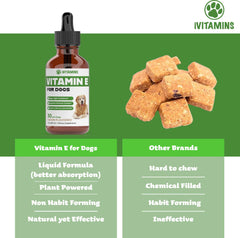 iVitamins Vitamin E for Dogs eye-health focus in bottle supports visual wellness
