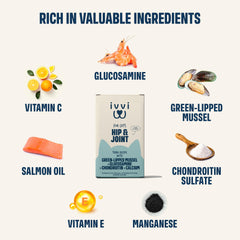 ivvi glucosamine chondroitin cats sachets highlight cartilage support potential