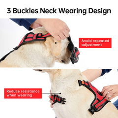 IVY&LANE reflective strips on harness and leash for night visibility