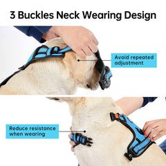 IVY&LANE blue harness featuring 360Β° reflective strip for visibility.