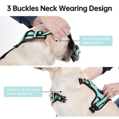 IVY&LANE adjustable webbing harness turquoise fits securely and comfortably