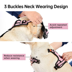 IVY&LANE No Pull Harness adjustable straps for precise fit