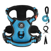 IVY&LANE no-pull harness in blue XS helping calm walks and easy wearing.