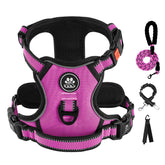 IVY&LANE no-pull harness small dog front clip for controlled walks at night
