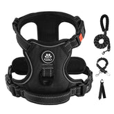 IVY&LANE no-pull harness for small dogs with neck-side on/off design for quick fitting.