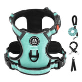 IVY&LANE No Pull Harness with front clip turquoise for controlled walks
