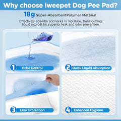 Iweepet thickened PE backing provides leak-proof bottom and paw-tearing resistance.