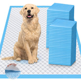 iweepet upgraded 4XL pee pad with 12-cup absorbency for versatile puppy training.