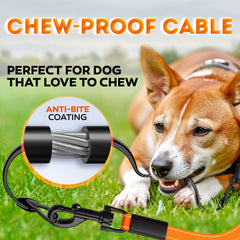 IWOOFI leash features 360-degree swivel to prevent tangles on walks
