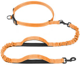 iYoShop retractable hands-free dog leash orange enables hands-free city walks with safer control