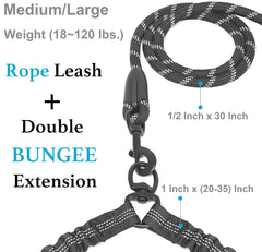 iyopets leash 360° swivel clasp preventing tangles during active walks.
