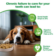 IZHXE dog breath freshness scene highlighting easy application after meals.