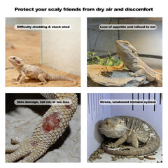 J&A Jason Aerobic reptile mister with temperature and humidity probe for automatic control