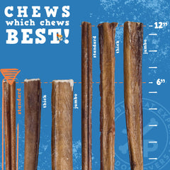 All-natural Jack&Pup bully sticks offer a wholesome treat option