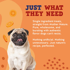 Jack&Pup All-Natural Carrot Dog Chews, fiber-rich reward for training sessions.