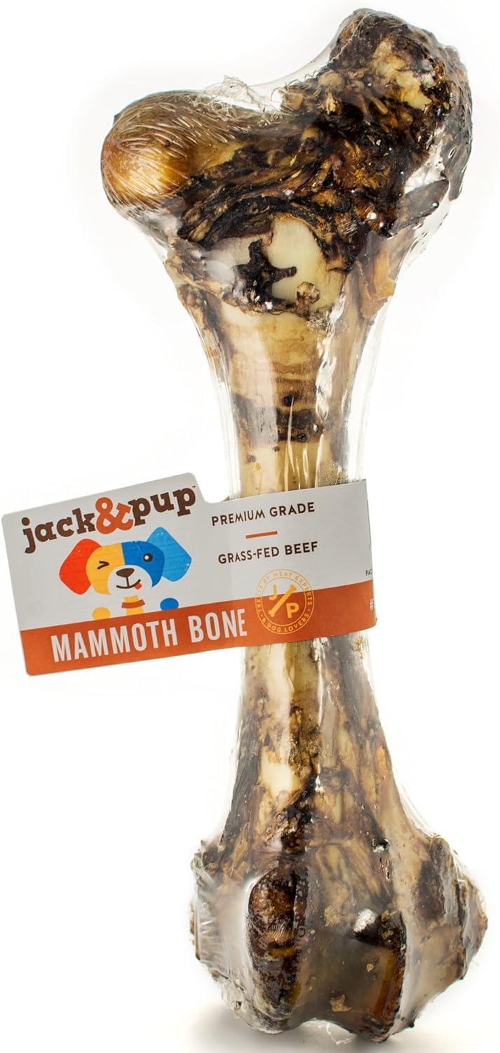 Jack&Pup Mammoth Bone 15-inch beef femur for aggressive chewers.
