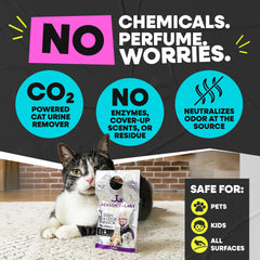 Jackson Galaxy EX CO2 cleaner sprays to lift stubborn stains.