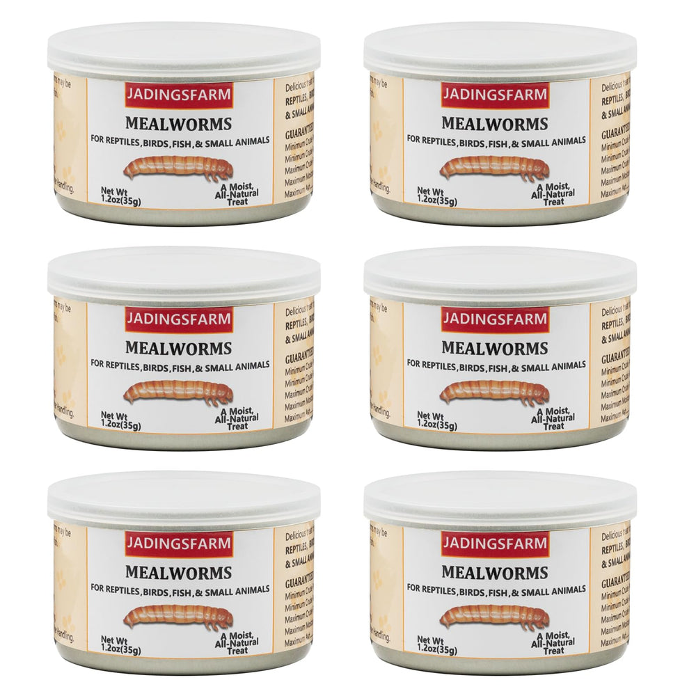JADINGSFARM 6-pack canned mealworms for reptiles and birds, convenient high-protein treat.