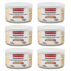 JADINGSFARM 6-pack canned mealworms for reptiles and birds, convenient high-protein treat.