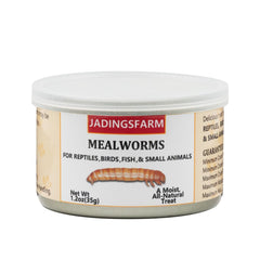 JADINGSFARM canned mealworms close-up, showing moist texture ideal for a quick protein-rich pet treat.