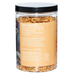 JADINGSFARM mealworms in terrarium as a reptile snack option.