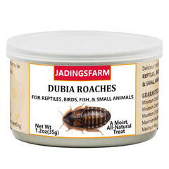 JADINGSFARM sealed can of dubia roaches preserving freshness for reptiles