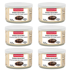 JADINGSFARM six-pack can of dubia roaches for convenient pet feeding