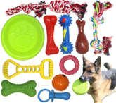 Jalousie natural rubber ball chew toy for interactive fetch and teething.