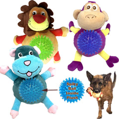 Jalousie dog squeaky ball set for engaging fetch and playtime.