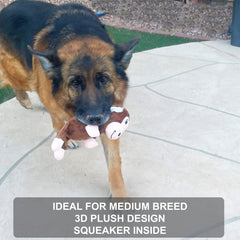 Jalousie multipack durable toys showcase variety for longer chewing sessions.