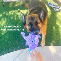 Jalousie tough construction dog toy resists strong chewers during fetch.
