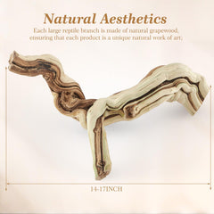 Janinka reptile branch top view showcases natural texture for terrarium decoration.