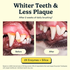 Jasper natural coconut oil toothpaste paste texture emphasizing breath freshness and gentle care.