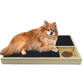 Jaxbo dog nail scratch pad with treat box for at-home nail care.