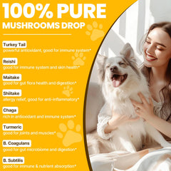 Jazytiko Turkey Tail dog supplement highlighting probiotic and turmeric blend.