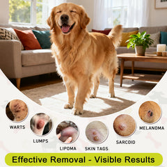 Jdicklary DMSO supports skin nourishment during topical care.