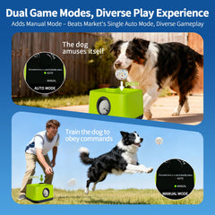 JDXSZ durable indoor/outdoor design built to withstand enthusiastic dogs.