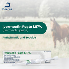 Jeffers Ivermectin Paste 1.87% horse in pasture showing healthy performance.
