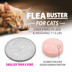 Jeffers Pet Flea Buster cat taking a tablet for straightforward administration.