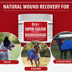 Jeffers Super Sulfur paste paw-care shown for gentle coverage