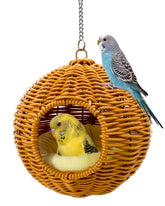 Jevnd chewproof steel frame nest offers durable support for small birds at rest.