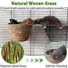Jevnd rat hammock with chains and hooks ensures quick, secure cage mounting.