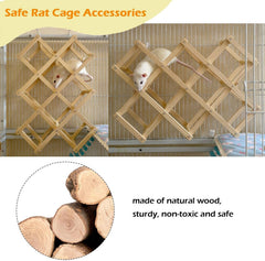 Jevnd wooden play platform 18x12x4.7in invites two rats to explore together.