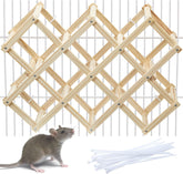 Jevnd wooden rat climbing toy ladder offers active play and climbing inside the cage.