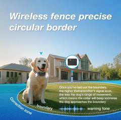 JewYow waterproof collar close-up highlighting a durable, swim-safe design.