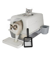 JFHID XL stainless steel cat litter box with lid, top-entry design for tidy setup.