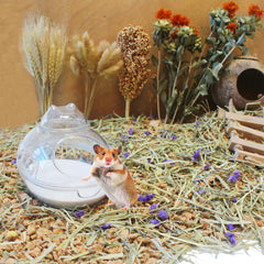 JFWOD Hamster Bath Sand shown with a hamster enjoying a refreshing sand bath.