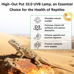 JHGKEGKE complete T5 reptile kit for an all-in-one terrarium lighting setup.